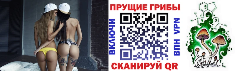 Псилоцибиновые грибы Psilocybe  ОМГ ОМГ маркетплейс  Чудово 